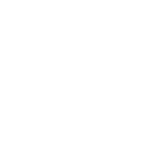 Content and Social Media Growth